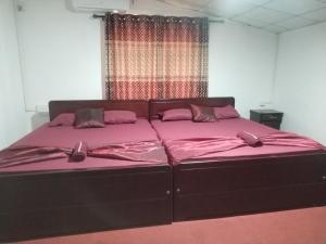 City tour tourist guest and wilpattu safari