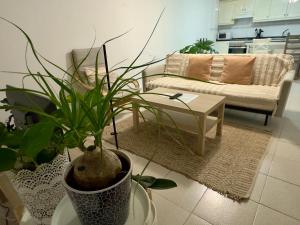 Mirador 1 - Mirador El Paso