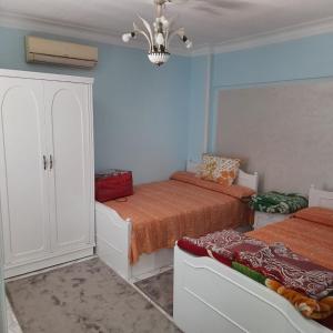 الاسكندريه