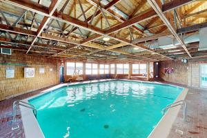 Newport Sunshine #C208