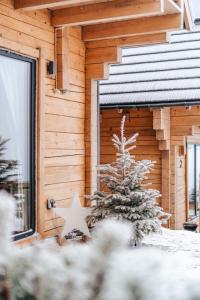 Domki Osada Zieleniec