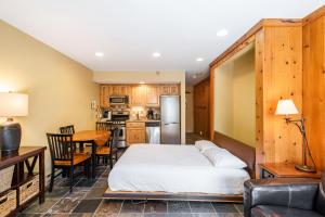 Mountain Village Studio #225