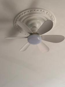 Paraíso das Flores Suíte Confort