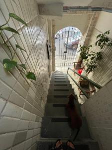 Quarto, sala, cozinha e banheiro menos de 2 minutos da praia do Porto da Barra-101-46