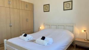 Scène & Palmiers - Cannes