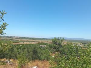 Casa dos Sonhos Glamping