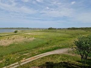 9 person holiday home in Thyholm-By Traum