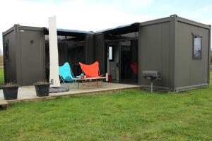 Night Sky Magic in Olive Grove