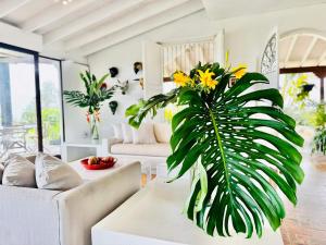 Un Pedacito de Santorini en el Lago Calima