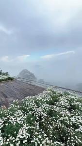 Horizon Coffee-Homestay Đà Lạt