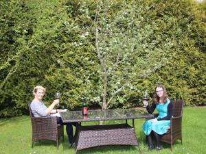 Holiday home in Wiesbaum with barbecue