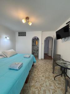 El Gamonal - Paracas