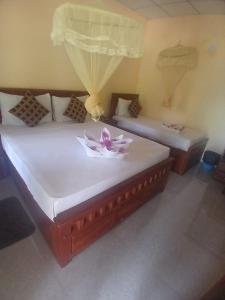 Sigiri Arana Sigiriya