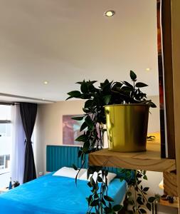 Luxury Apartaestudio Chapinero