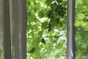 Apartment For Guests with Soul