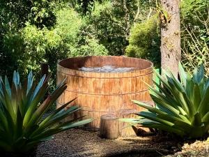 Conforto, Estrutura e Lazer para Grupos e Familias