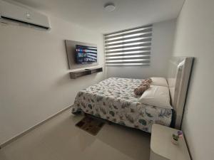 Nice downtown apartment Irala Building 452