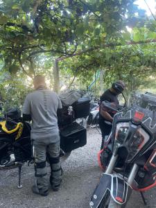 Domus Komanesse - Guest Houses