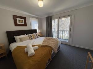 Three Bears 3 - Thredbo