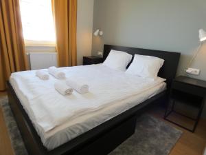 RentPlanet - Apartament Brneńska