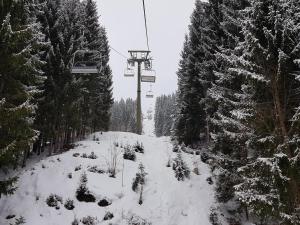 Apartment in Filzmoos near Ski Amadé
