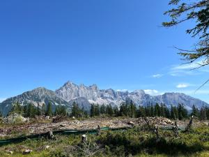 Apartment in Filzmoos near Ski Amadé
