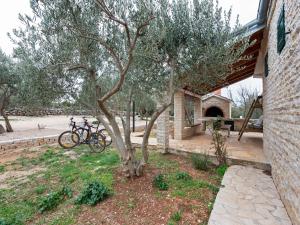 Holiday Home in Vrana near Lake and Beach