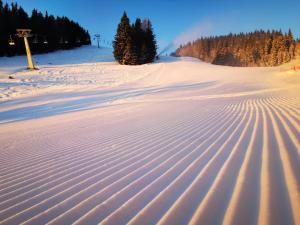 Apartment MOUNTAIN PARADISE Golte