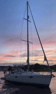 Stor seilbåt 39 fot i Fredrikstad sentrum med hotellkomfort for 6 pers