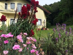 Privatni smje&scaron;taj Das gelbe Haus Sankt Christophen Austrija