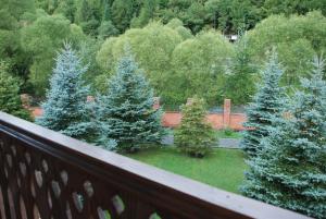 Chalet Zolota Pidkova & River