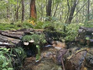 Rivertone North Karuizawa