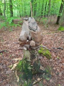 Ferienwohnung Kirschenknupp