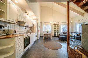 Alte Levi Dali Ski-in Ski-out by Aavalevi