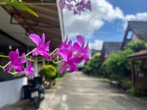 Go Gear Travel & Bungalow