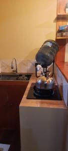 Mini Cabin wetan kali 02