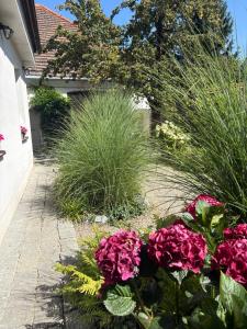 Rezidence U Kamenného mostu