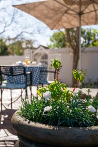 Rozenburg Guest House