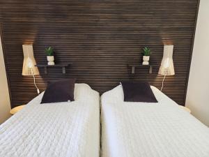 Levinkolmio A3 Visit Levi