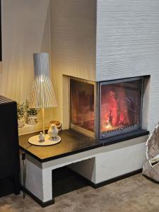 Levinkolmio A3 Visit Levi