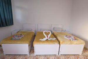 Luxor Nile View Flats