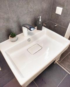 Studio Apartment am Zoo