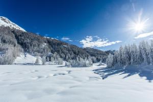 Ski Gate - Giomein - Ski to Door by Cervino View Experience