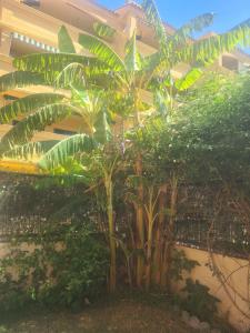 Apartamento Atlanterra Bajo