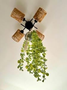 Le tre ceraselle house