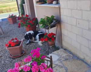 Antica Masseria Il Casone