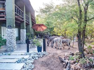 Croc Orvylls Kruger Lodge, Close to Kruger National Park we are popular for Free roaming wildlife