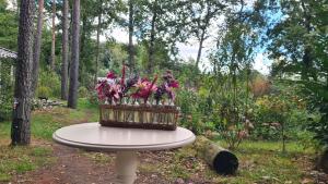 Stijlvol Tiny House in de natuur