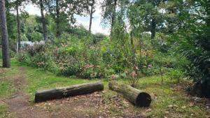 Stijlvol Tiny House in de natuur