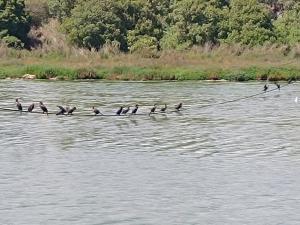 Zapallar Laguna Y Mar a una cuadra playa maitencillo